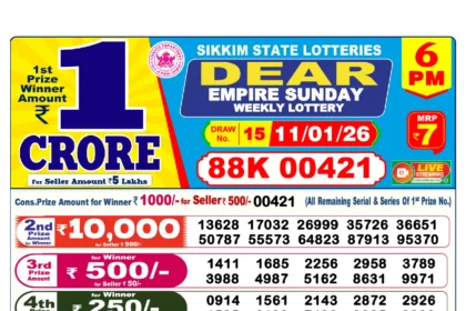 Check Dear Lottery Result Today for winning numbers and prize claims